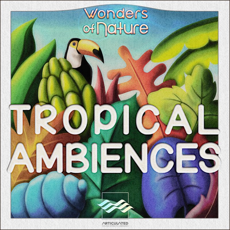 热带雨林环境音效 – Articulated Sounds Tropical Ambiences WAV-DISCOVER- 3.41GB 已翻译中文-乐声音频-资源网