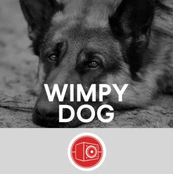 德国牧羊犬狗音效 – Big Room Sound Wimpy Dog [WAV]-乐声音频-资源网