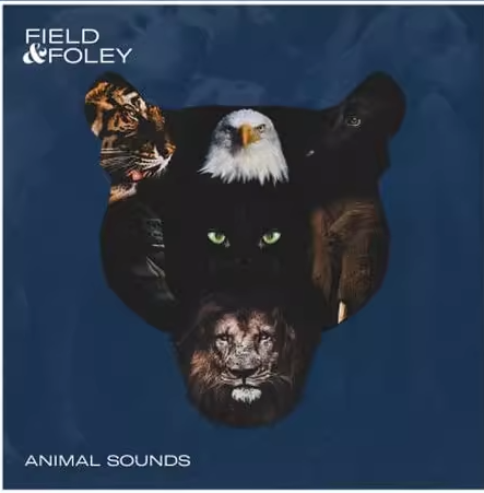 动物音效包 – Field and Foley Animal Sounds [WAV]-273MB-已翻译中文-乐声音频-资源网