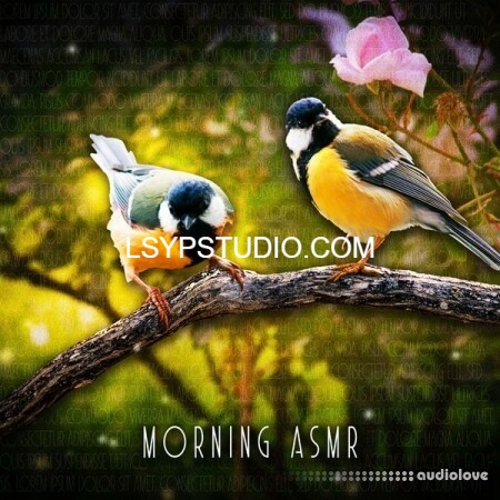 图片[1]-音效区 早晨鸟鸣声 ASMR [FLAC]-乐声音频-资源网