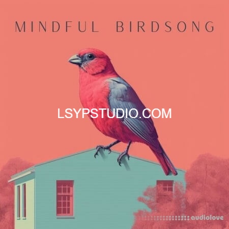 图片[1]-静心鸟鸣Sound FX Zone Mindful Birdsong [FLAC]-乐声音频-资源网