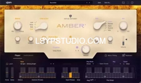 图片[1]-钢弦木吉他：扫弦与拨弦音色合集 UJAM Virtual Guitarist AMBER2 v2.3.1 [WiN]-乐声音频-资源网