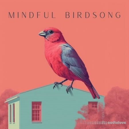 静心鸟鸣Sound FX Zone Mindful Birdsong [FLAC]-乐声音频-资源网