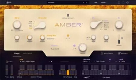 钢弦木吉他：扫弦与拨弦音色合集 UJAM Virtual Guitarist AMBER2 v2.3.1 [WiN]-乐声音频-资源网