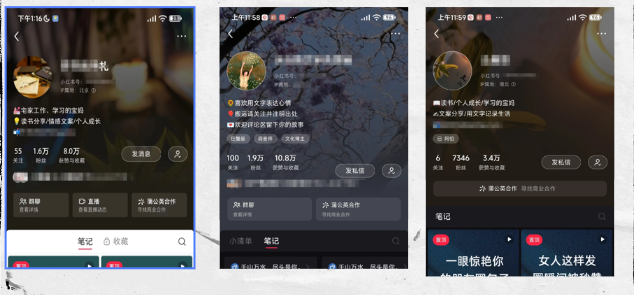 图片[1]-乐声自媒体个人IP计划—定位定江山 — 找到你的超级IP方向-乐声音频-资源网