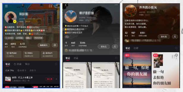 图片[2]-乐声自媒体个人IP计划—定位定江山 — 找到你的超级IP方向-乐声音频-资源网