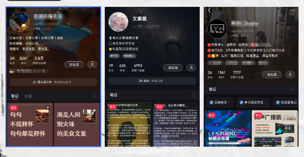 图片[3]-乐声自媒体个人IP计划—定位定江山 — 找到你的超级IP方向-乐声音频-资源网