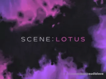日本乐器合集 Native Instruments Scene Lotus v1.1.0 [KONTAKT]-乐声音频-资源网