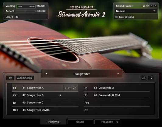 扫弦木吉他 – Session Guitarist Strummed Acoustic 2-乐声音频-资源网