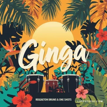 音色包Ivnn Ginga Reggaeton Drums and One Shots [WAV]-乐声音频-资源网