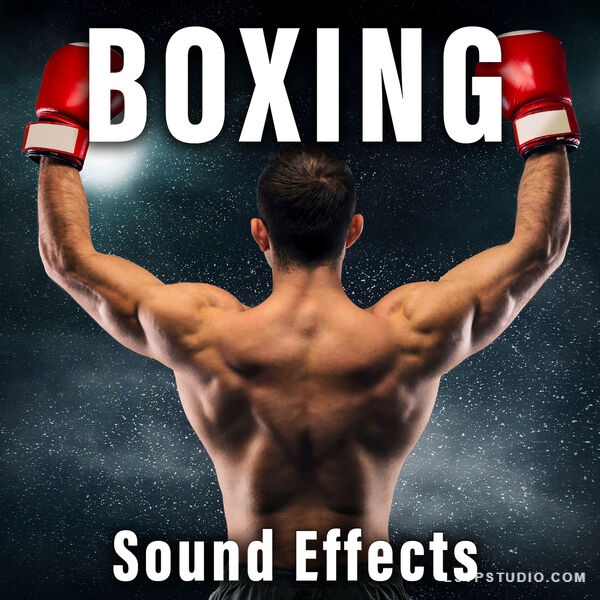 电影拳击音效 Sound Ideas Boxing Sound Effects FLAC-乐声音频-资源网