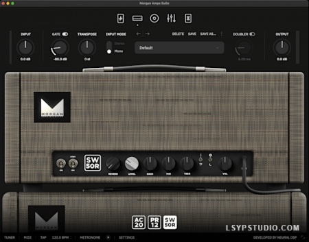 放大器Neural DSP Morgan Amps Suite v1.1.1 [WiN]-乐声音频-资源网