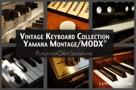 雅马哈键盘的板载声音PurgatoryCreek Soundware Vintage Keyboard Collection Montage MODX [Synth Presets]-乐声音频-资源网