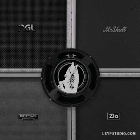 Audio Assault Seacow Cabs OVERSIZED BEASTS: GW100 Amp Locker Cabs Presets IRs-乐声音频-资源网