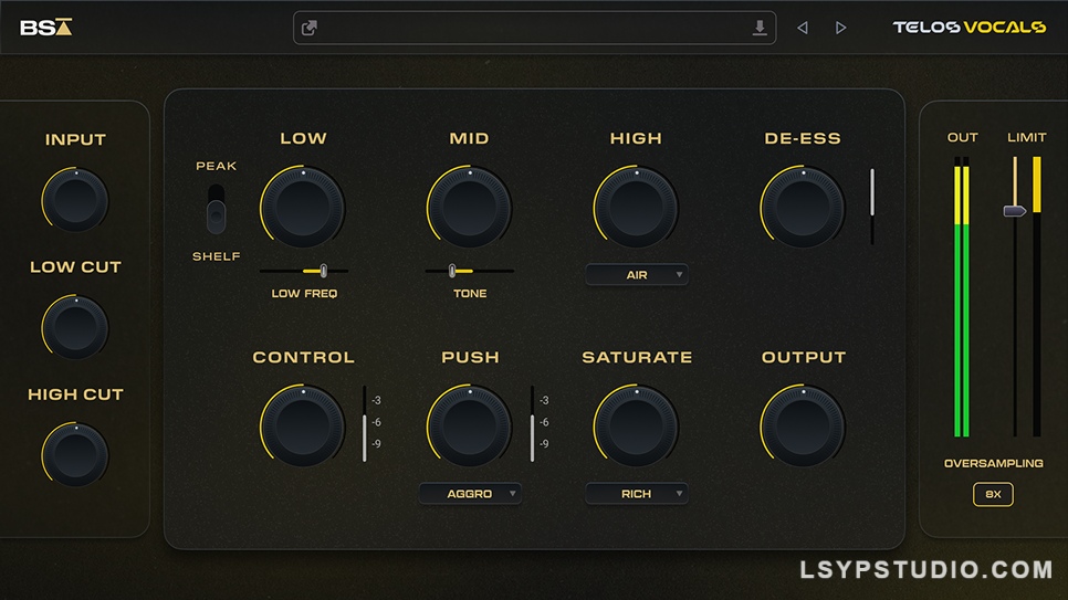 图片[1]-去除嘶嘶声Black Salt Audio Telos Vocals v1.0.12 [WiN]-乐声音频-资源网