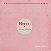 电子音乐Test Press Serum 2 Ultimate Reese [WAV, MiDi, Synth Presets]-乐声音频-资源网