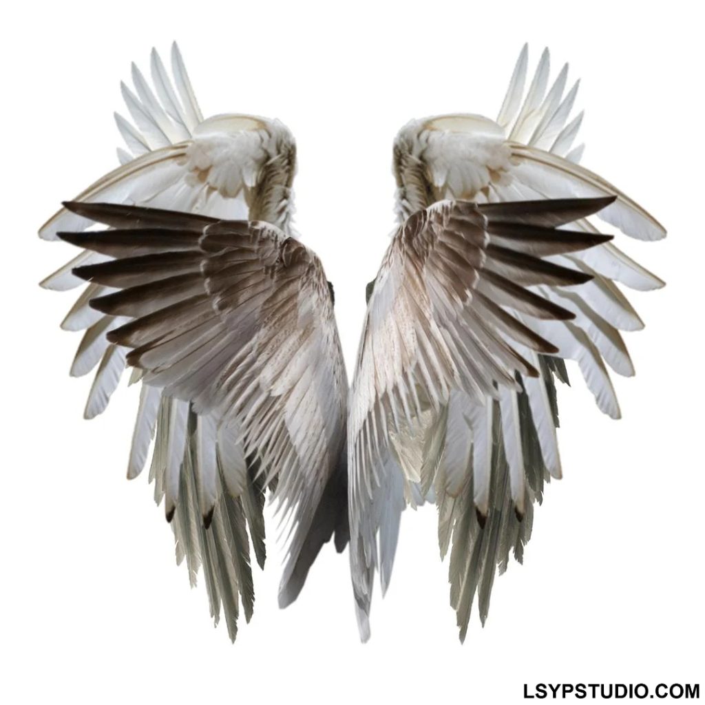 图片[1]-HOLOGRAM Nocturne Drum Kit [WAV]-乐声音频-资源网