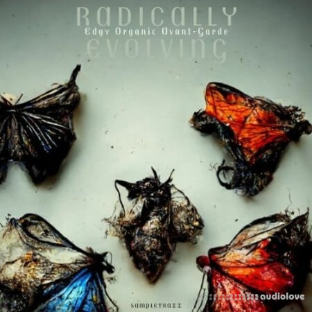 SampleTraxx Radically Evolving [WAV]-乐声音频-资源网