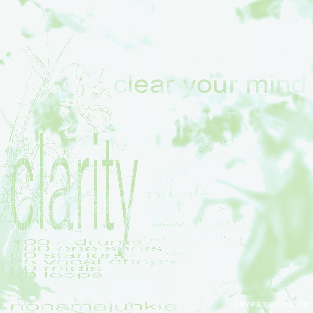 JUNK Clarity Kit [WAV, MiDi]-乐声音频-资源网