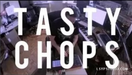 预切音效样本包Tasty Chops Pre-chopped Sound Samples BUNDLE [WAV]-乐声音频-资源网
