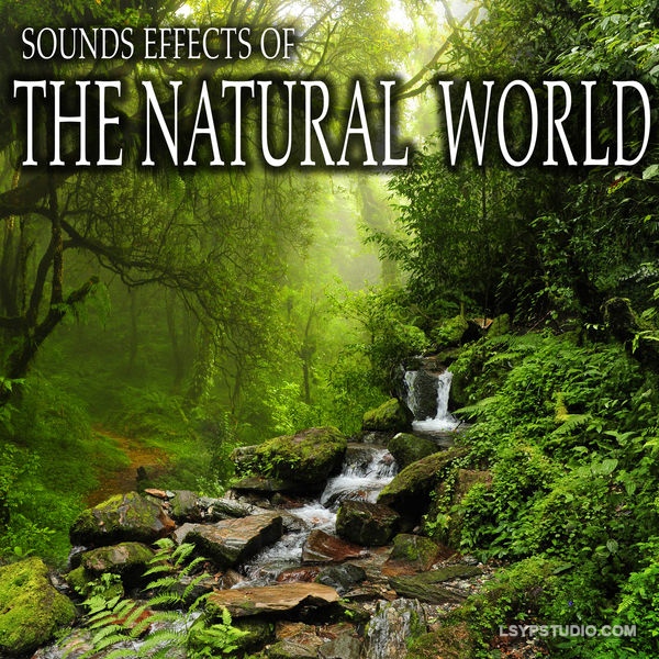 自然界的声音创意和音效Sound Ideas Sound Effects Of The Natural World [FLAC]-乐声音频-资源网