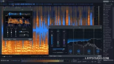音频修复iZotope RX 11 Audio Editor Advanced v11.4.0 U2B [MacOSX]-乐声音频-资源网