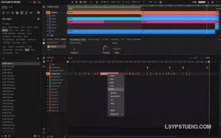 Native Instruments Maschine 3 v3.4.2 [MacOSX]-乐声音频-资源网
