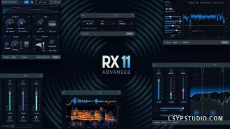 音频修复和增强领域的行业先驱iZotope RX 11 Audio Editor Advanced v11.4.0 [MacOSX]-乐声音频-资源网