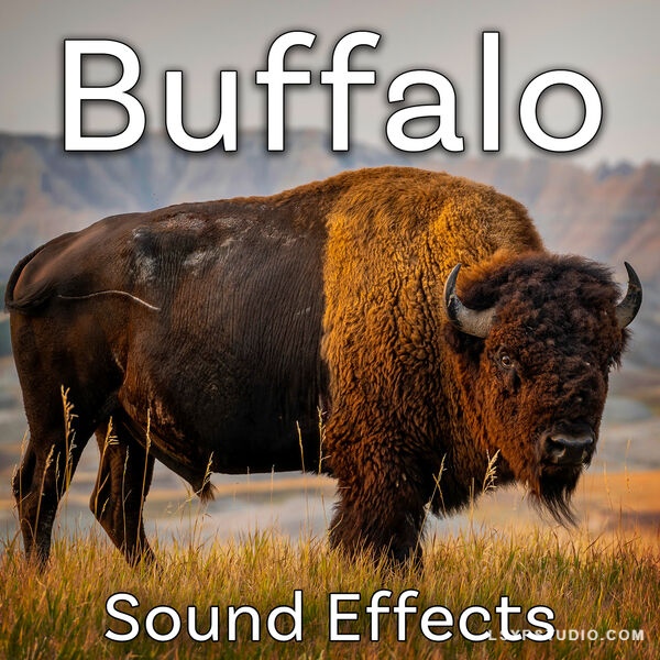 水牛音效Sound Ideas Buffalo Sound Effects [FLAC]-乐声音频-资源网