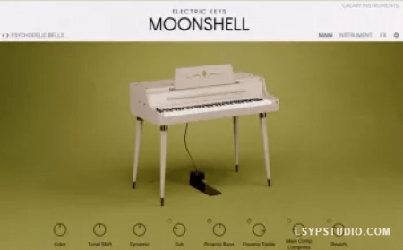 Native Instruments Electric Keys Moonshell v1.1.0 [KONTAKT]-乐声音频-资源网