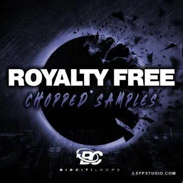 Big Citi Loops Royaltyfree Chopped Samples [WAV]-乐声音频-资源网