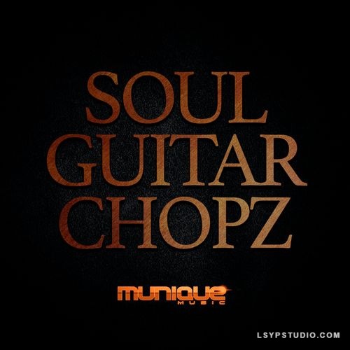 Big Citi Loops Soul Guitar Chopz [WAV]-乐声音频-资源网