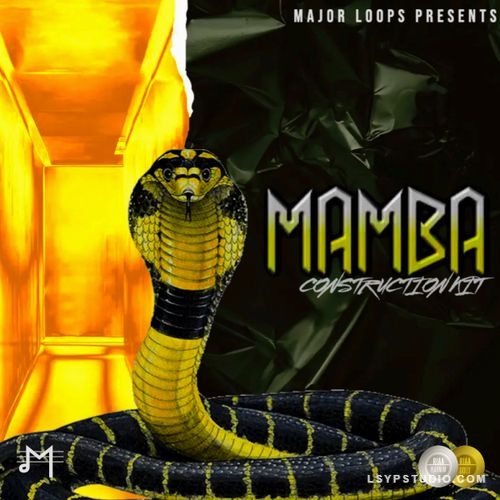 打造嘻哈和陷阱音乐的理想之选Major Loops Mamba [WAV]-乐声音频-资源网