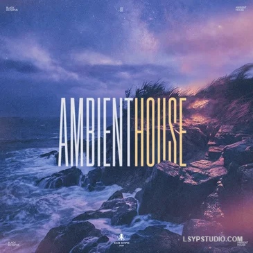 氛围浩室 Black Octopus Sound Ambient House MULTiFORMAT-FANTASTiC-乐声音频-资源网