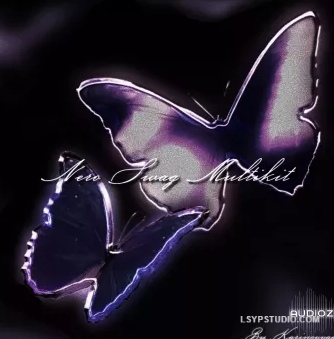 Nero潮流套件 Paradigm Karinovvaa Nero Swag Multikit WAV MiDi FST-FANTASTiC-乐声音频-资源网