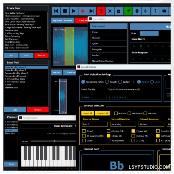 Minqus 是一款由音乐家开发的桌面软件，用于练习和学习音-乐声音频-资源网