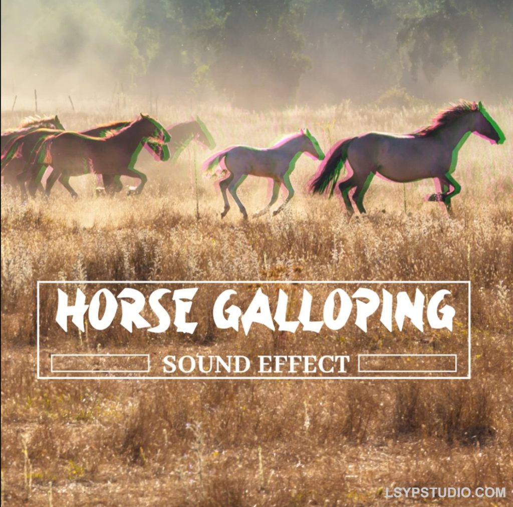 专业音效库 马蹄声效Pro Sound Effects Library Horse Galloping Sound Effect [FLAC]-乐声音频-资源网