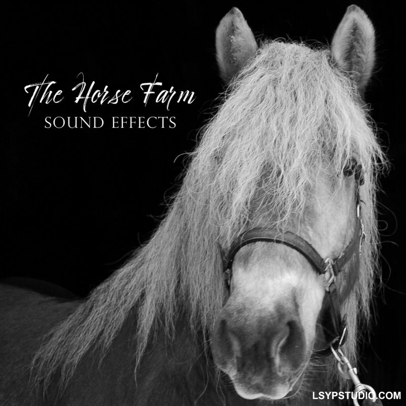 音效区 马场音效Sound Effects Zone The Horse Farm Sound Effects [FLAC]-乐声音频-资源网