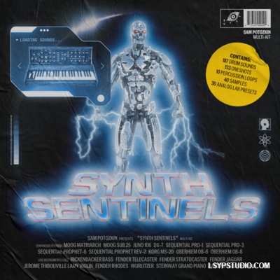 Sam Potozkin Synth Sentinels WAV Analog Lab Bank-FANTASTiC-乐声音频-资源网