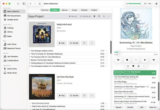 现代音乐播放器Radiccio 1.4 MacOS-乐声音频-资源网