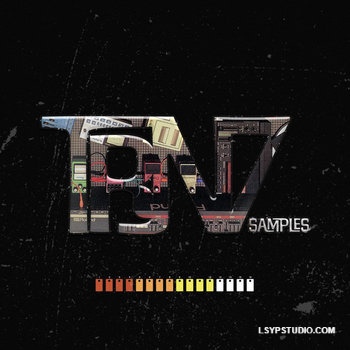 TRN7 Trn7 Samples Vol.1 WAV MiDi-乐声音频-资源网