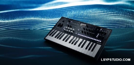 KORG Wavestate Native 1.5.2 WIN-乐声音频-资源网