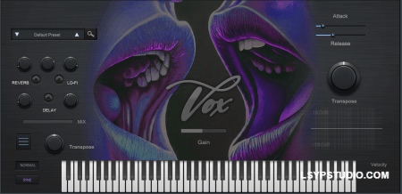 灵魂乐人声插件True Soul Vibes RnB Vox v1.0.0 [WiN]-乐声音频-资源网