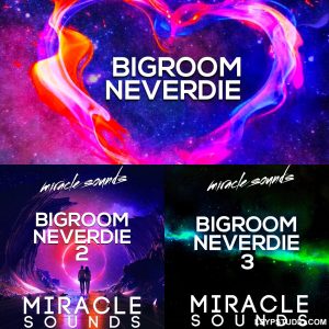 EDM 制作人量身定制的重磅素材库Miracle Sounds Bigroom Neverdie Bundle WAV MiDi FXP-FANTASTiC-乐声音频-资源网
