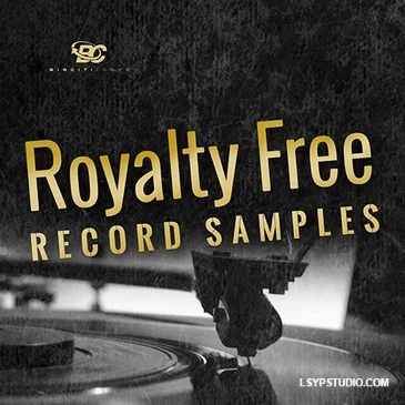 嘻哈与 R&B 创意组合包Big Citi Loops Royalty-Free Record Samples WAV REX-FANTASTiC-乐声音频-资源网