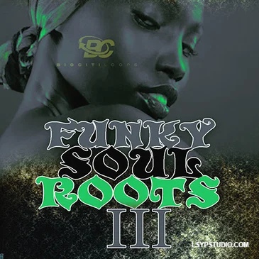 Big Citi Loops Funky Soul Roots 3 WAV MiDi-FANTASTiC-乐声音频-资源网