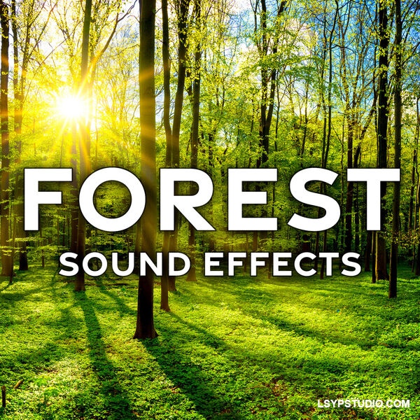 森林音效创意Sound Ideas Forest Sound Effects FLAC-FANTASTiC-乐声音频-资源网