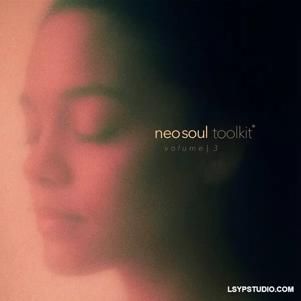 Dionso and Xandros Neo-Soul Toolkit Vol.3 WAV-FANTASTiC-乐声音频-资源网