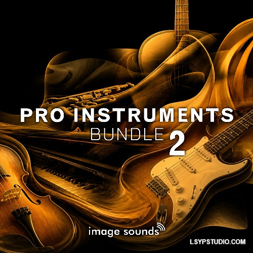 30 个器乐声部库和超过 18,000 个高品质采样Steinberg Pro Instruments Bundle 2 VSTSOUND-乐声音频-资源网