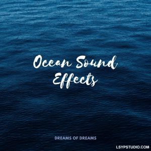大自然最舒缓的音景所带来的宁静之美Dreams of Dreams Ocean Sound Effects [FLAC]-乐声音频-资源网